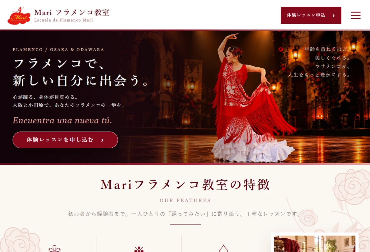 Mariフラメンコ教室トップページのスクリーンショット